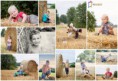 /album/podzimni-/slama-jpg/